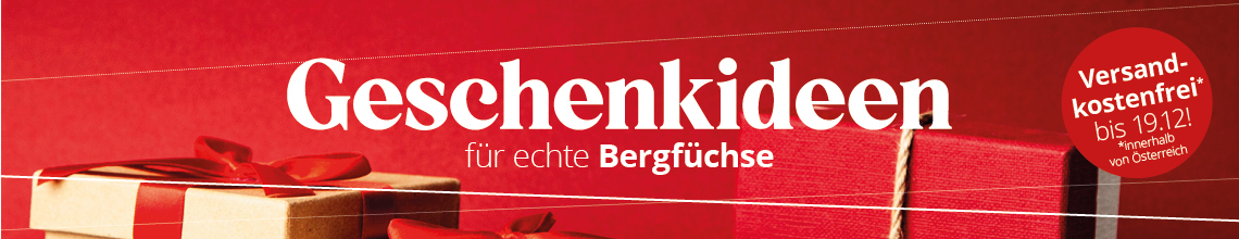 Weihnachtsgeschenkideen Banner