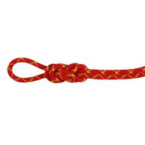 8.0 Alpine Core Protect Dry Rope