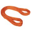 9.0 Alpine Sender Dry Rope