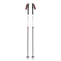 Expedition 2 Ski Poles