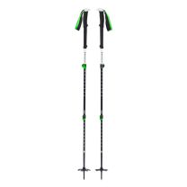 Expedition 3 Ski Poles