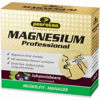 MAGNESIUM Professional 20x2,5g