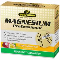 MAGNESIUM Professional 20x2,5g