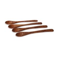 Spoon Set (4 pcs)